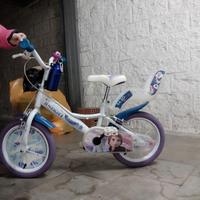 bici frozen