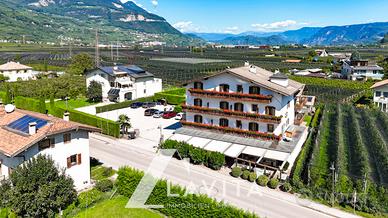 Hotel Kurtinigerhof - Cortina SSDV