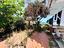 Immagine 11