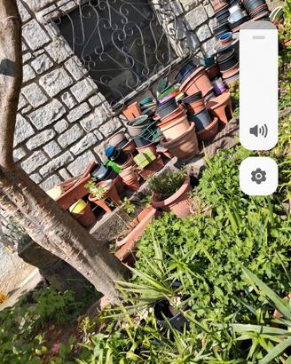 centinaia di vasi e sottovasi per fiori l
