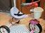 Immagine 1