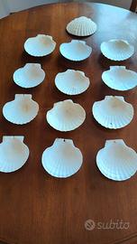 13 Piatti in vera conchiglia