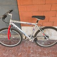 Bicicletta Mountain Bike