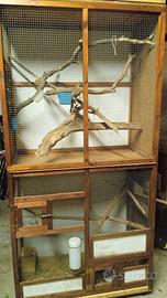 gabbia per scoiattolo e  volatili