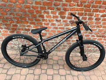 Bicicletta da Dirt