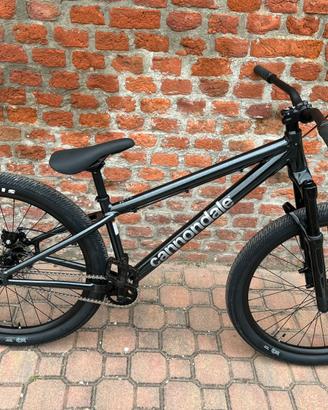 Bicicletta da Dirt