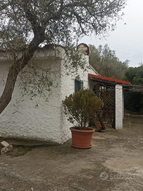 Monte oro casa e terreno sassari