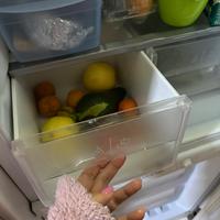 Frigo con congelatore da incasso