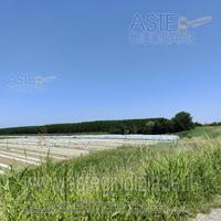 Terreno Agricolo Sermide e Felonica [A4330938]