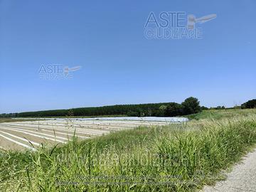 Terreno Agricolo Sermide e Felonica [A4330938]