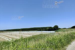 Terreno Agricolo Sermide e Felonica [A4330938]