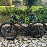Scott scale rc team 2024