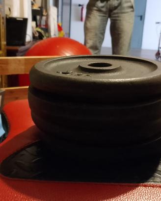 Palestra