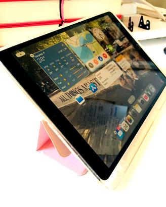 📱 iPad Pro 10.5" – 256GB – Space Grey | WiFi + 4G
