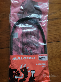 Cinghia per scooter Malossi