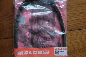 Cinghia per scooter Malossi