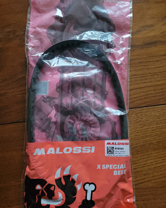 Cinghia per scooter Malossi