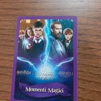 Herry Potter 2024 carte