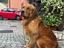Immagine 4