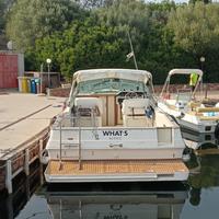 Barca Sea ray 27 amberjak