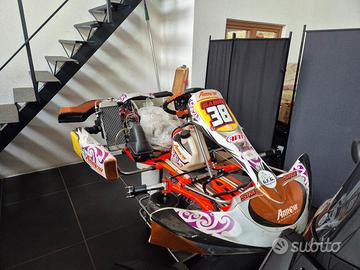 Go kart birelart ry30 s11 monomarcia