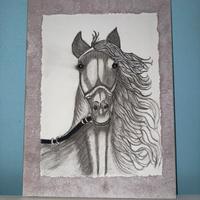Ritratto equestre 30 × 40 dipinto carboncino