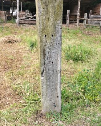 Pali in legno recinzione, da estrarre e ritirare