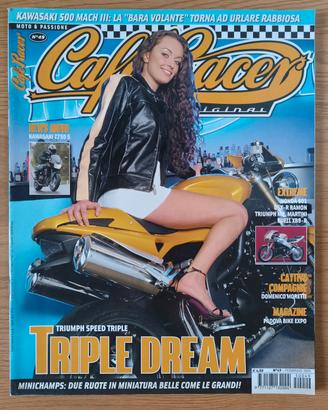 triumph speed triple kawasaki 500 mach iii z750