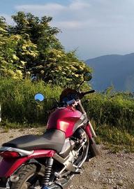 🔴 Moto Guzzi Breva 750