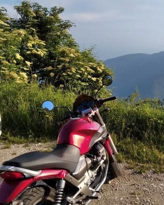 🔴 Moto Guzzi Breva 750