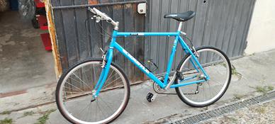 bicicletta uomo