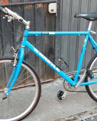 bicicletta uomo