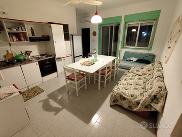 Appartamento palizzi marina