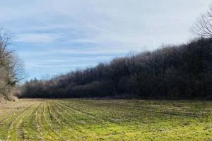 Immobile in asta di 19946 m² a Rosta