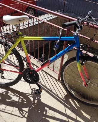 Bici usata