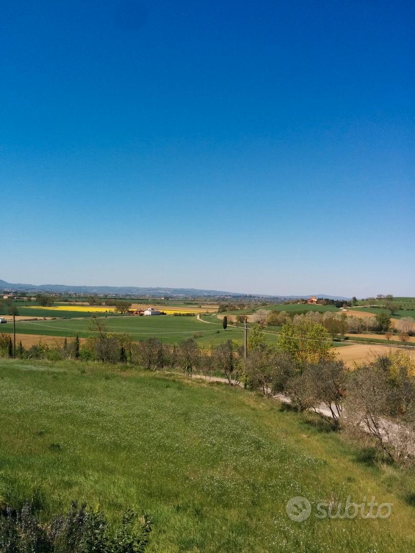 Grande Casolare - Vista 4