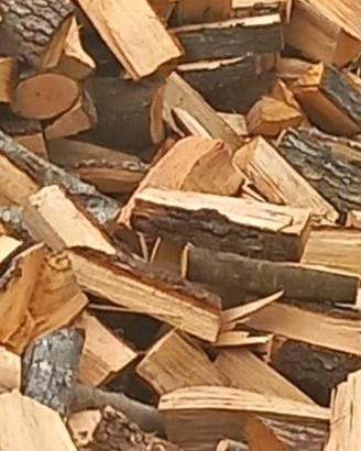 legna da ardere secca 