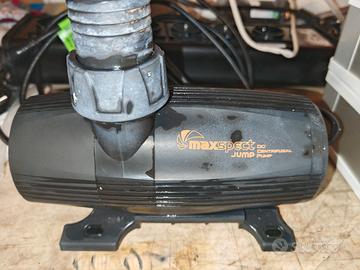 attrezzatura acquario 