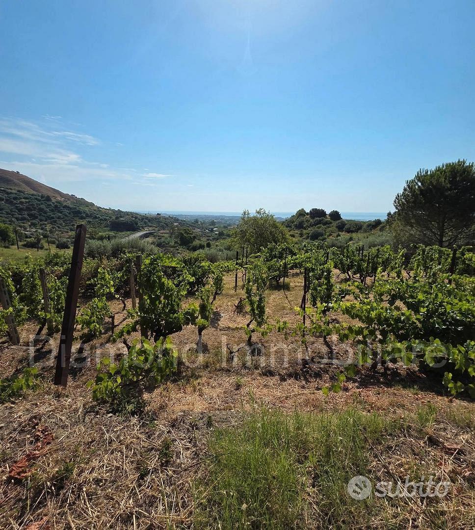 Terreno agricolo vigneto e uliveto a Calatabiano - Vista 2
