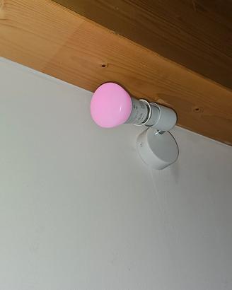 Philips Hue Lampadina E27 White & Color 1100 Lumen
