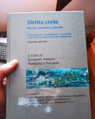 Diritto Civile. Norme, questioni, concetti. Vol. I