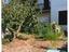 Immagine 25