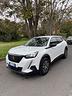 peugeot-2008-bluehdi-110-s-s-2022
