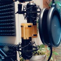 Coppia microfoni a condensatore