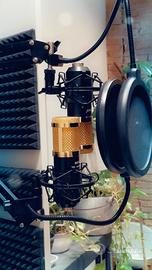 Coppia microfoni a condensatore