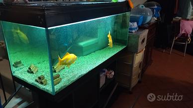 Acquario 200lt 