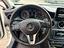 Immagine 12
