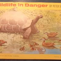 ALBUM DI FIGURINE - BROOKE B. - WILDLIFE IN DANGER