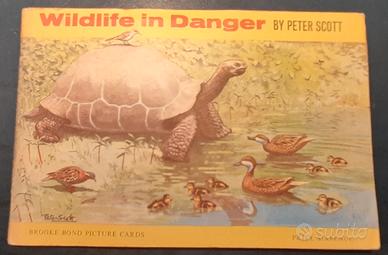 ALBUM DI FIGURINE - BROOKE B. - WILDLIFE IN DANGER