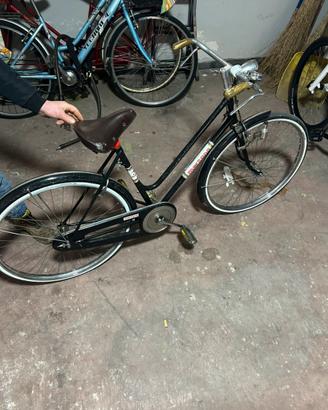 Bicicletta da passeggio